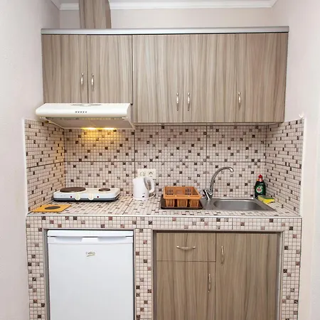 公寓 Babis House *